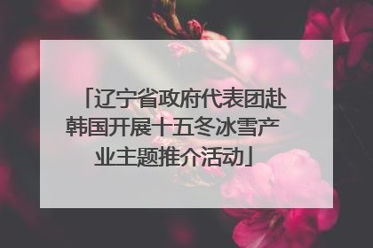 辽宁省政府代表团赴韩国开展十五冬冰雪产业主题推介活动